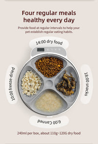 The image shows a pet feeder that provides four regular meals daily, helping pets establish healthy eating habits. It includes compartments for different types of food (dry, freeze - dried, snacks) and specifies feeding times and portion sizes.